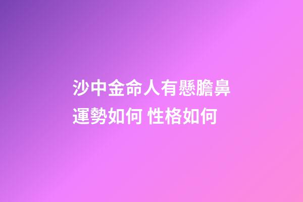 沙中金命人有懸膽鼻運勢如何 性格如何